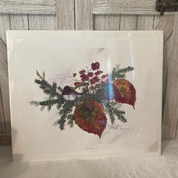 Cyndy Callog 1999 Autumn Junco Print - Picture 2 of 12
